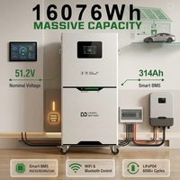 Batterie de stockage d'énergie domestique hybride CAN IP65 montée en rack, solaire, 51,2 V, 314 Ah, 16 kWh, LiFePO4, BMS intelligent
