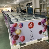 Vitrine réfrigérée commerciale Kenkuhl à porte vitrée incurvée, congélateur pour la présentation de glaces