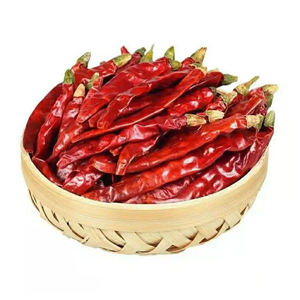 freshchillipastesuppliers