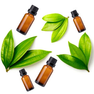 Distribuidor Mayorista de Set de Regalo de Aceites Esenciales para Aromaterapia, Aceite Puro de Hoja de Canela y Árbol de Té de Sri Lanka, Destilado al Vapor - Product Image 5
