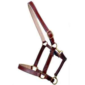 Halter de caballo de cuero marrón Premium acolchado suave para una máxima comodidad - Product Image 1
