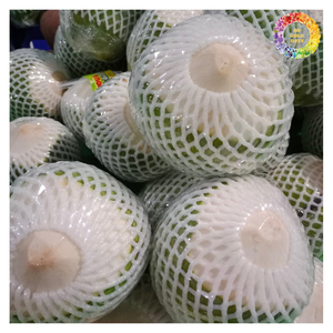 Tendre de noix de coco fraîche, noix de coco fraîche garnie facile à ouvrir pour un rafraîchissement instantané, jeune noix de coco fraîche emballée pour l'exportation - Product Image 5