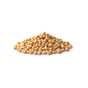 Vente en gros de soja biologique riche en protéines soja jaune de qualité supérieure sans OGM séché en usine-emballé - Product Image 1