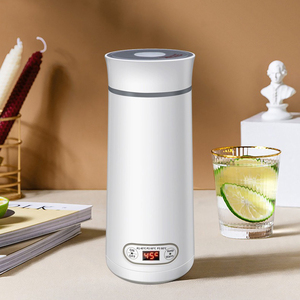 Mini Xách Tay Nồi Hơi Nước Nồi Thép Không Gỉ Cà Phê Nhỏ Trà Nóng Ấm Đun Nước Du Lịch Ấm Đun Nước Điện Với Kiểm Soát Nhiệt Độ - Product Image 1