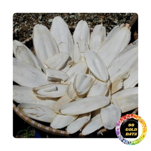 กระดูกปลาหมึกแห้งสำหรับใช้ทางการแพทย์และอาหารเสริมสัตว์เลี้ยง | แหล่งกำเนิดของเวียดนาม | สินค้าจำนวนมาก - Product Image 1