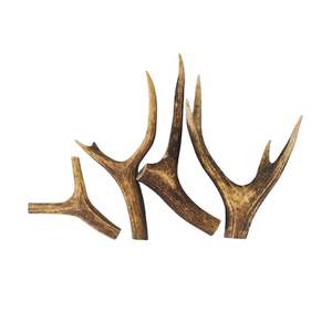 Direct Factory Durablement Naturel Daim Antler Chien Mâcher et Pour La Santé Dentaire - Product Image 1