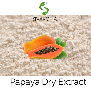 Prix en gros Extrait de papaye Poudre de fruit de papaye Boisson solide Poudre de papaye pour l'agrandissement du sein disponible au prix en vrac - Product Image 2