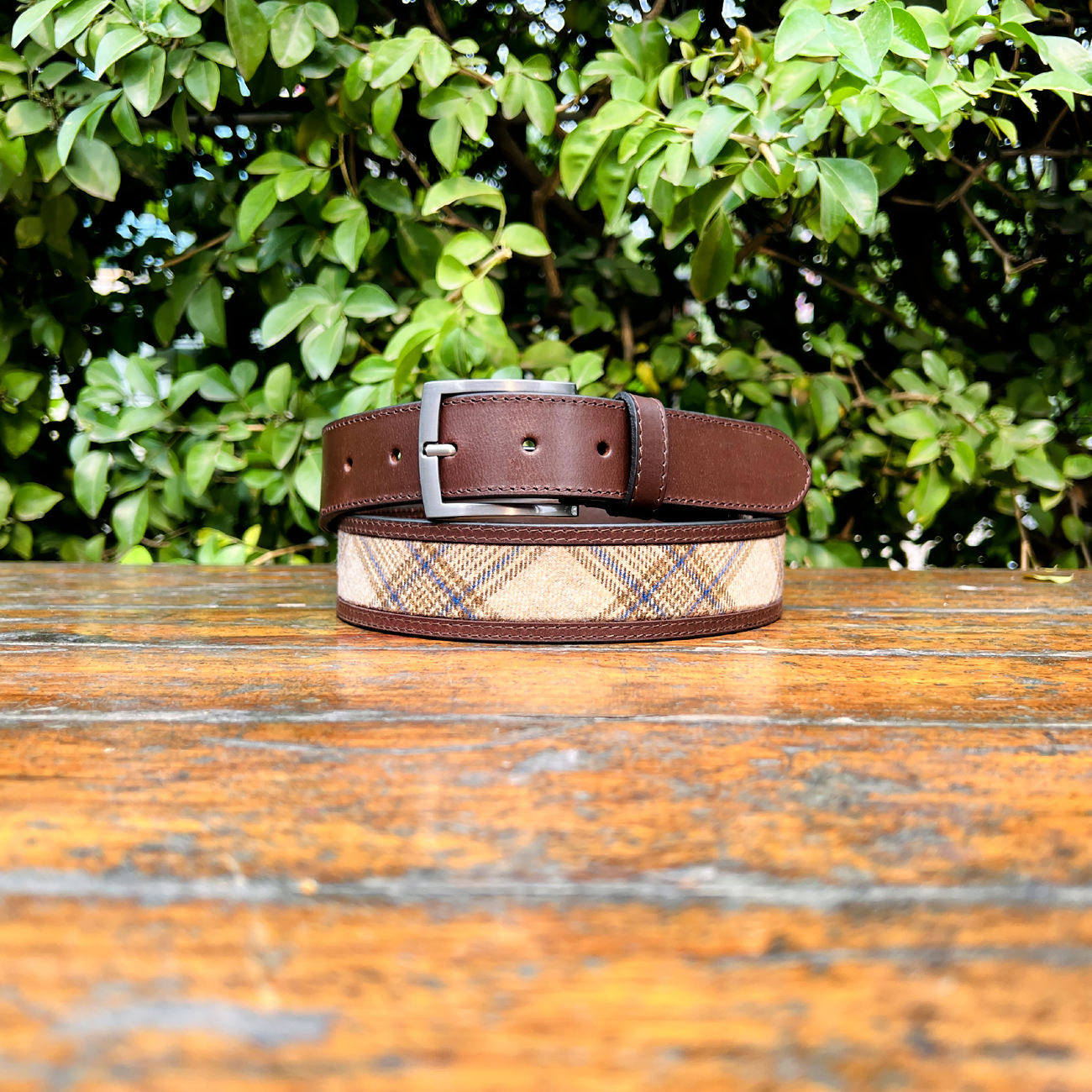 สีน้ำตาล