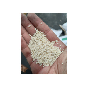 Graines de sésame blanches décortiquées biologiques pour la boulangerie et la production de tahini - Product Image 1