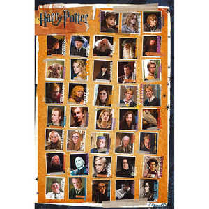 Póster extraíble del retrato de Harry Potter y las Horquillas de la Muerte - Product Image 3