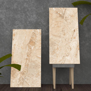 Les carreaux de décoration extérieure au design moderne les plus populaires en céramique de porcelaine fabriquée en Inde pour les garages à prix réduits! - Product Image 1