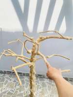 Nouveau café bois Java arbre oiseau support de jeu à vendre au Vietnam pour perroquet support de jeu en gros oiseau fournitures