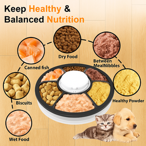 OEM 투야 스마트 펫 피더 습식 및 건식 사료 자동 공급기 자동 분배 강아지 고양이 사료 급식기 6끼 타이머 음성 녹음 기능 - Product Image 2