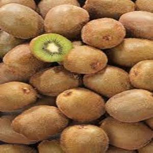 ผลไม้กีวีแสนอร่อยและหวานสำหรับการจัดส่งทั่วโลก - Product Image 4