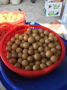 Prix bas, citron vert mariné 100% frais, de haute qualité, goût naturel, en vente sur le marché - Product Image 6