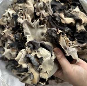 Ingrédient végétalien de champignon d'oreille en bois séché, approvisionnement en vrac du Vietnam - Product Image 1