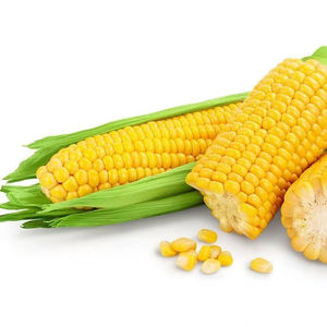 Craquelins de maïs sucré 150g, biscuits croustillants cuits au four, prix de gros usine Vietnam - Product Image 1