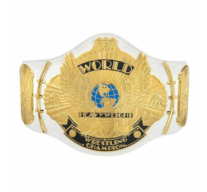 Cinturón de Campeonato Personalizado Big Eagle al por Mayor, Cinturones de Karate, Boxeo, Lucha Libre, UFC, Jiu-Jitsu, Forro de Cuero PU, Cintura Alta, Unisex - Product Image 6