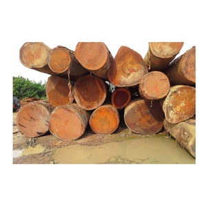 Bûches de bois Meranti malaisien brun, à vendre au meilleur prix - Product Image 6