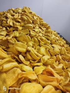 ขนุนแห้งแบบเขตร้อนจากเวียดนาม-ทอดสุญญากาศสำหรับขนุนแห้งกรอบ - Product Image 4