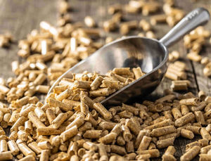 Granulés de bois de pin haute performance avec faible teneur en cendres et haut rendement calorifique, directement de l'usine au Vietnam pour l'alimentation électrique de l'UE - Product Image 4