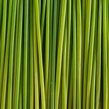 Pajitas de Lepironia naturales 100% Biodegradables y sin residuos - Product Image 4