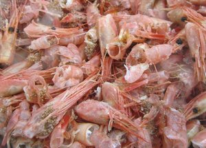 Juguetes para masticar concha de camarón natural vietnamita para mascotas Exportación de confianza del proveedor de Vietnam - Product Image 6