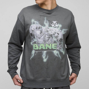 Nueva llegada de alta calidad básica Regular Fit Bane licencia impresión sudadera hombres sudadera personalizada mezcla de algodón sudadera - Product Image 1
