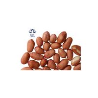 Exportation de graines d'arachides du Vietnam de haute qualité