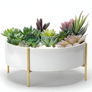 La mejor maceta de metal de venta con soporte dorado a un precio razonable para la decoración del restaurante del jardín del hogar - Product Image 1