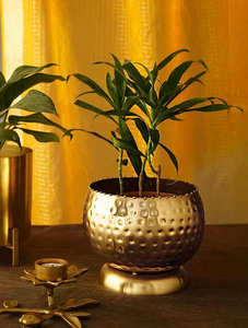 Maceta de hoja de metal de estilo moderno con acabado dorado y maceta moderna de forma redonda de diseño único para uso en el jardín - Product Image 5