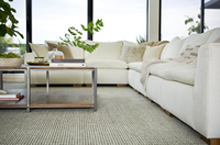 Tapis moderne à poils longs en mélange de sisal et de laine, tapis épais naturel fabriqué à la machine pour le salon, la chambre à coucher, durable, écologique, personnalisé
