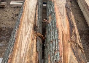 ท่อนไม้เกาลัดเป็นมิตรกับสิ่งแวดล้อมสำหรับใช้ในอุตสาหกรรมเกาลัดท่อนไม้เกาลัดสำหรับโรงเลื่อย - Product Image 2