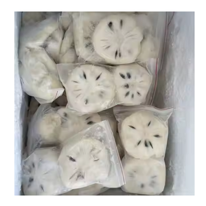 PULPA DE SOURSOP CONGELADA AL POR MAYOR DE FÁBRICA DE VIETNAM MEJOR OFERTA PARA IMPORTADORES ENVÍO RÁPIDO DISPONIBLE - Product Image 2