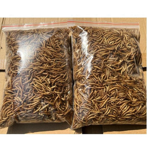 Toptan doğal yüksek Protein Pet besleme yenilebilir böcek kurutulmuş mealbirds kuşlar için 500g toplu kaynağı - Product Image 1