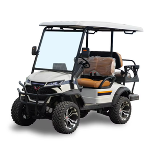 Wu11ng E1ectr1c 4ที่นั่งรถบักกีส์ G01f Pa1nt1ng Mu1t1 Cert1f1ed ecss 5kwss M0t0r P0wer - Product Image 2