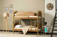 Lit superposé double en acier de luxe VAYA pour dortoir scolaire et chambre à coucher, meubles pour enfants et étudiants multicolores avec échelle