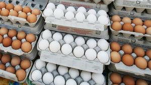 Huevos Frescos de Gallina de Mesa, 60g, Tamaño Mediano, Cáscara Marrón, Alta Calidad, Larga Vida Útil, Marca OEM en Empaque de Cartón - Product Image 4