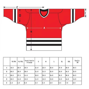 2025 maillot de hockey sur glace imprimé par transfert de chaleur unisexe personnalisé uniforme sur mesure pour adultes 100% polyester antibactérien à séchage rapide - Product Image 5