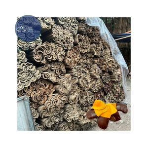 Poteaux de jardin en bambou écologiques très demandés – Supports robustes pour plantes, personnalisables, en bambou bleu - Product Image 1