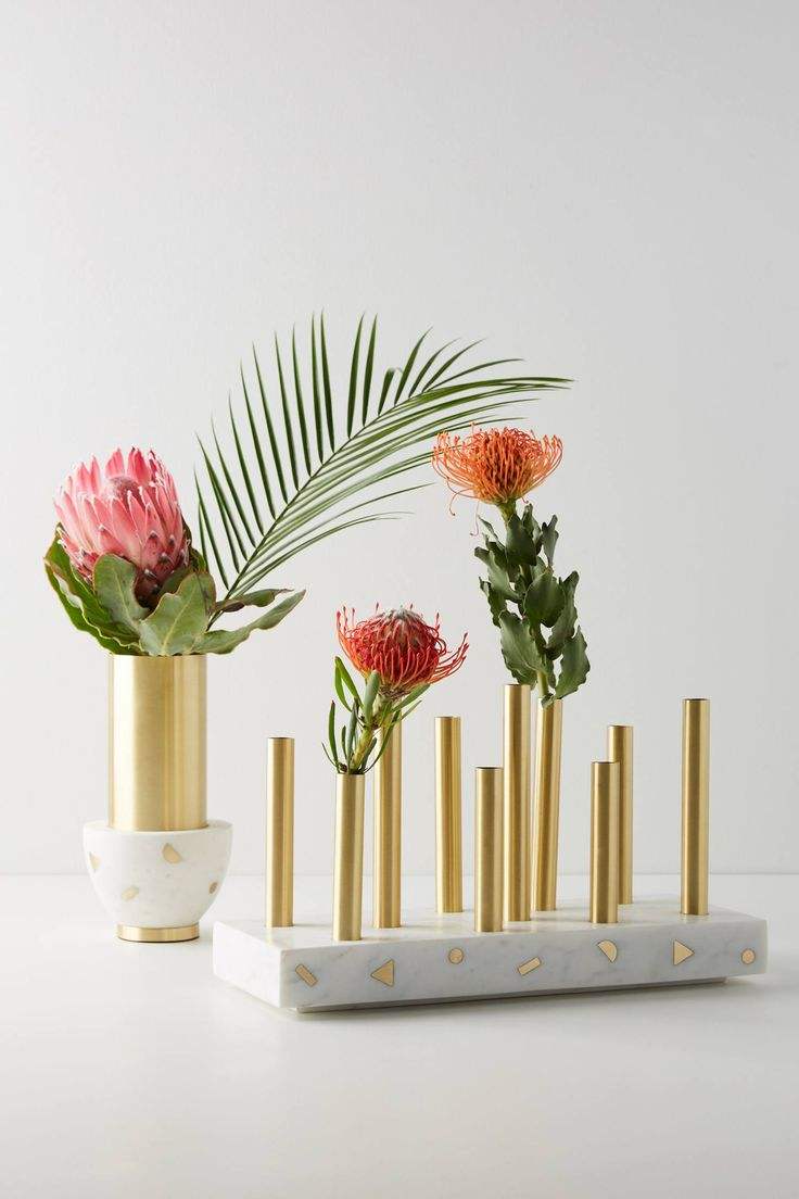 ตามที่แสดง