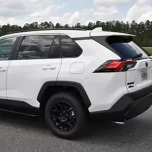 Qualité supérieure, Jeep Rav-4 de luxe 2019 - Product Image 3