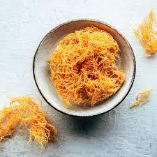 Viet Delta dried Sea MOSS | superfood จากเวียดนาม | คุณภาพที่เชื่อถือได้ | OEM by s. thao - Product Image 2