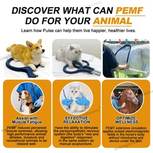 Anello PEMF Intelligente per Massaggio Muscolare Canino, Riduzione dello Stress nei Gatti, Terapia a Campo Elettromagnetico Pulsato per il Benessere, Attrezzatura Sanitaria - Product Image 3