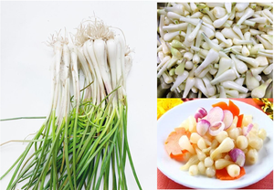 Vietnamese Picked Scallion Heads <b>Jar</b> Anna - Product Image 4