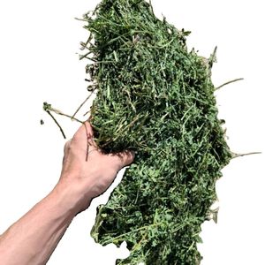 Siêu chất lượng cao Timothy hay/baled cỏ linh lăng hay viên thức ăn tốt nhất cấp cho chó ngựa nhiều loại cỏ Rhodes hay khô phong cách - Product Image 6