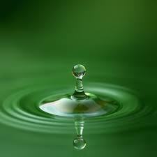 Aceite Esencial de Lúpulo de Grado Terapéutico al por Mayor a Granel con Buen Precio, Aceite Esencial de Lúpulo 100% Puro, Aceite Esencial de Lúpulo de Alta Calidad - Product Image 4