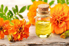 100% Pure & Natural Tagetes <b>Essential</b> <b>Oil</b> Manufacturer Supplier Skin Care Cosmetic Industries Tagetes <b>Oil</b> Best Tagetes <b>Oil</b> INDIA - Product Image 5