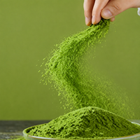Poudre de Matcha Cérémonial Bio Premium - Thé Vert Saemidori de Kagoshima, Sachet Frais pour la Santé