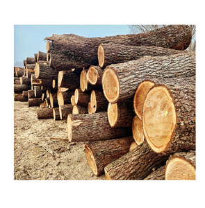 Bûches de bois de noyer durables à vendre à bas prix, provenant de sources pour une utilisation industrielle et commerciale du bois. - Product Image 5